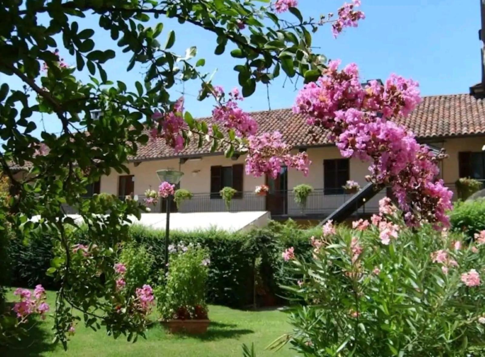 Oryza Guest House Desana Dış mekan fotoğraf